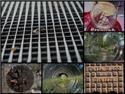 Veranstaltungsbild Fotowalk: Rinteln mal ganz anders! – Deine Stadt im Fokus